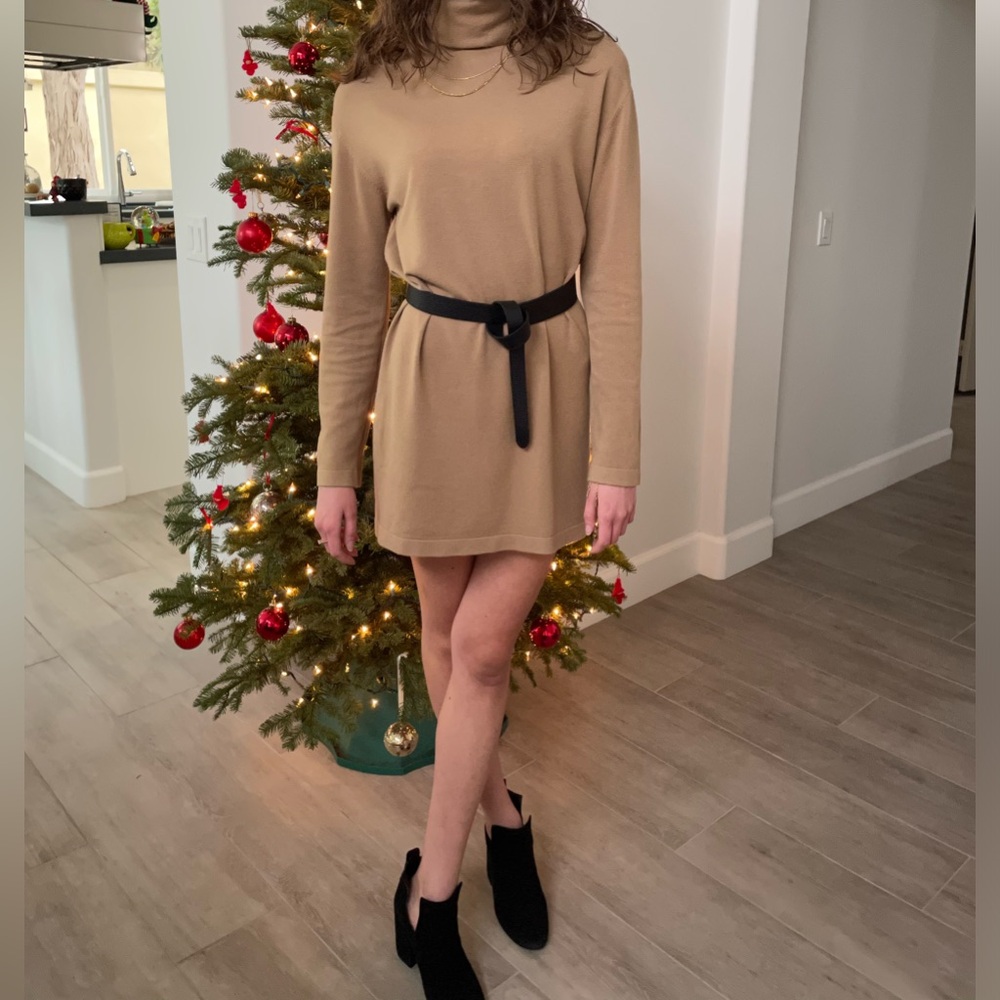 Oliveaceous Tan turtleneck sweater dress